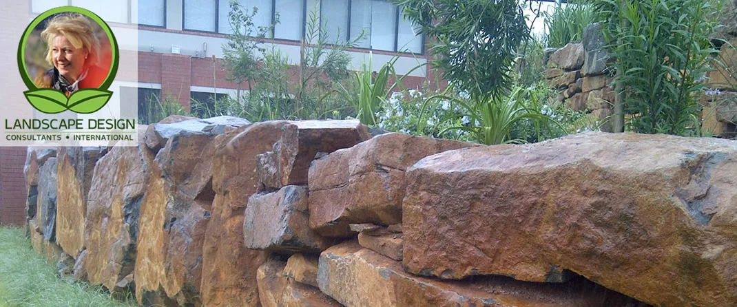Cover image for Jo-Anne Hilliar landscaping - managing space