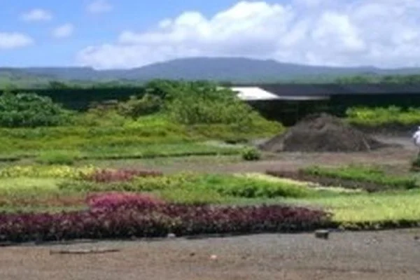 Mauritius