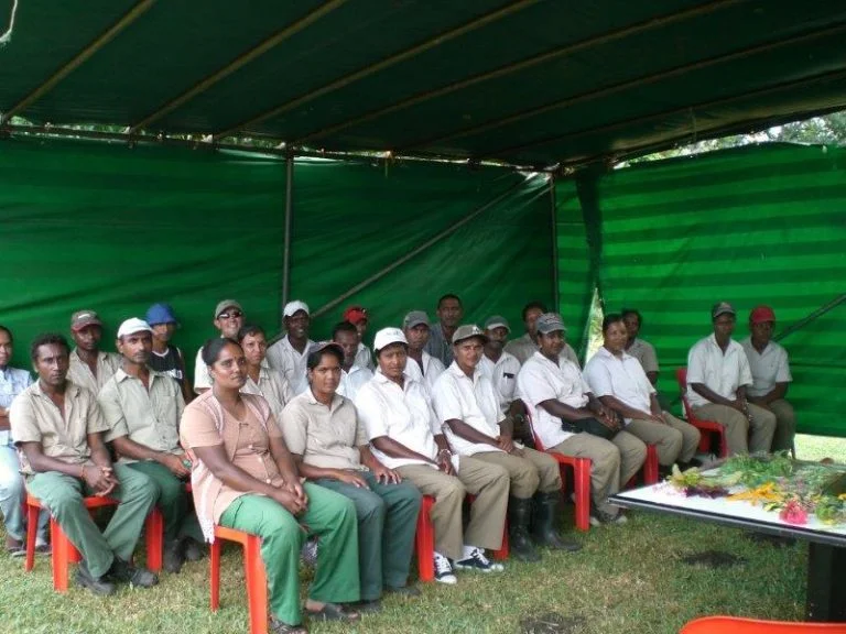 Commercial Garden Maintenance: Enhance Your Business Appeal 1 A group of landscape maintenance trainees and supervisors attending an on-site professional training session.