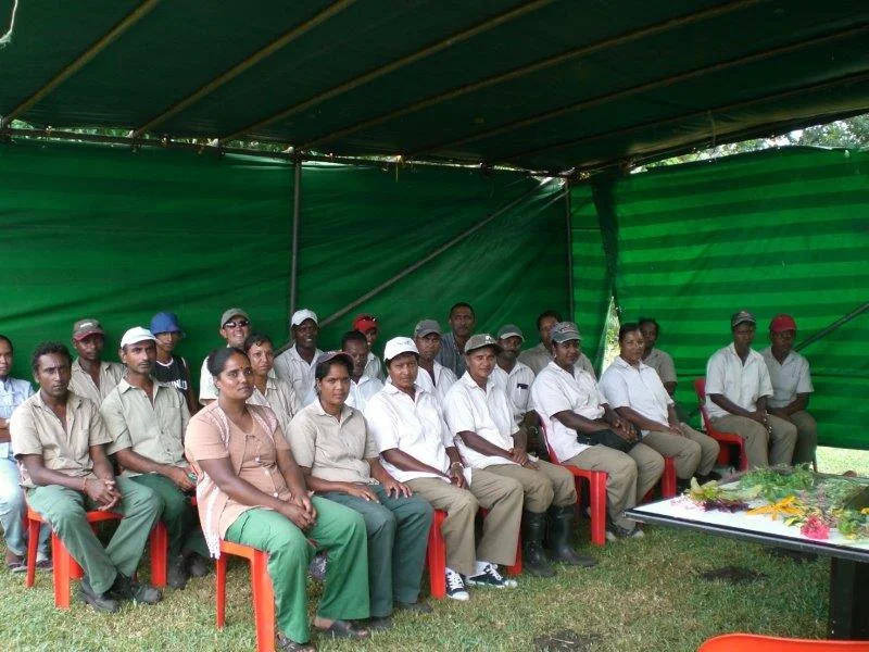 Commercial Garden Maintenance: Enhance Your Business Appeal 1 A group of landscape maintenance trainees and supervisors attending an on-site professional training session.