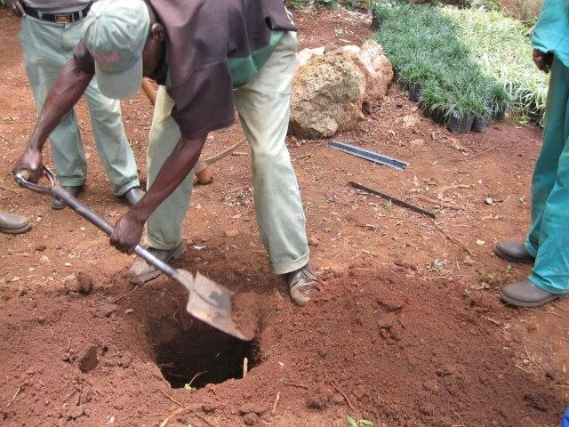 Landscape maintenance staff demonstrating correct digging and planting techniques during a professional training workshop.