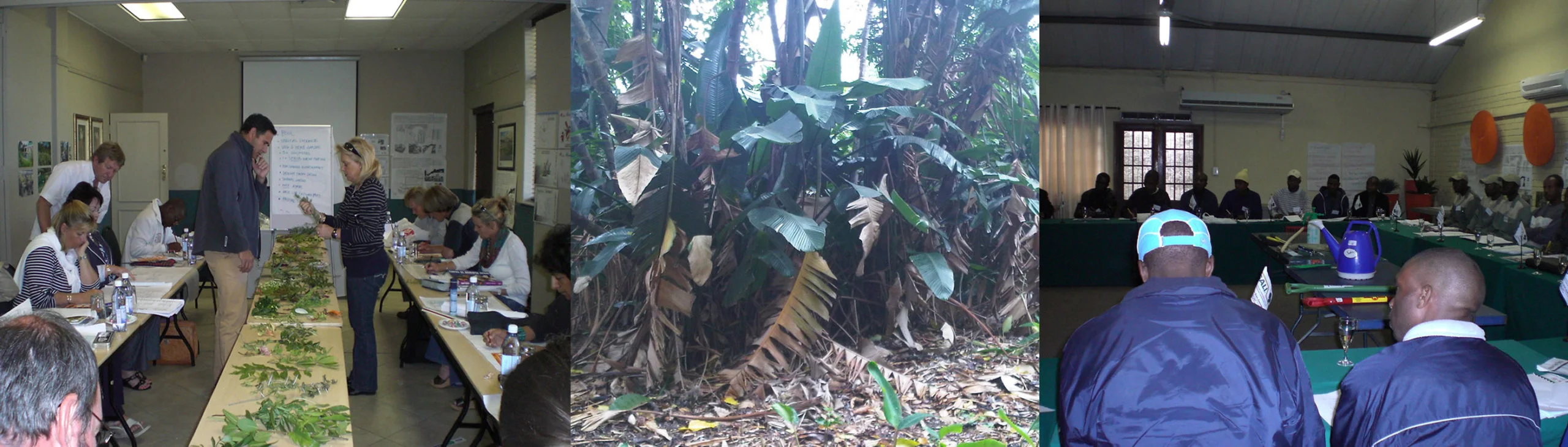 Landscaping expertise offered internationally 1 blog11 1