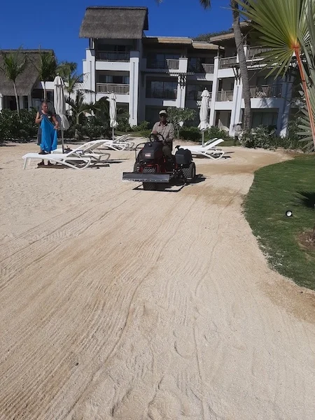 landscaping preparation